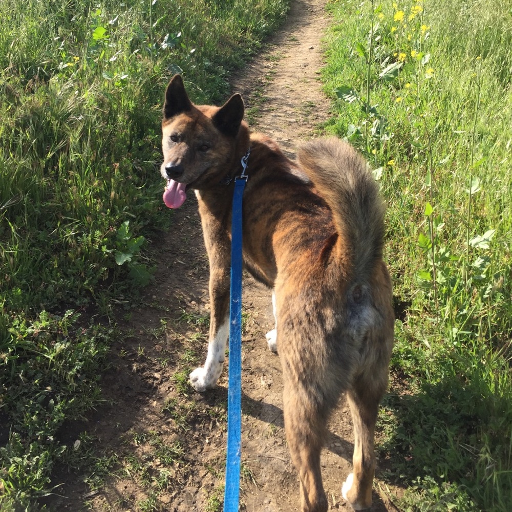 Meet your Posher, Yuki